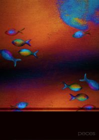 Peces web.jpg
