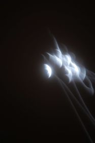 Luna I.jpg